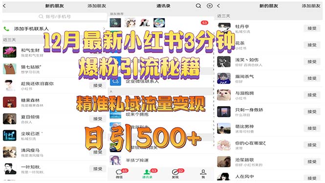 （13653期）12月最新小红书3分钟爆粉引流秘籍 精准私域流量变现 日引500+-领创网