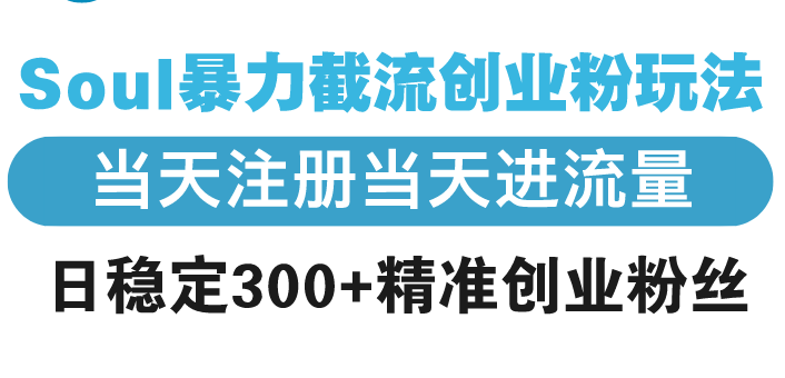 （13935期）Soul暴力截流创业粉玩法，当天注册当天进流量，日稳定300+精准创业粉丝-领创网